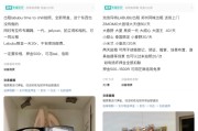 解梦软件闲鱼：LABUBU搜索量环比上涨1000%，供不应求下现租赁新形式