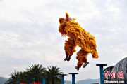解梦软件（文化中国行）壮乡狮舞闯南洋：脚踏“云桩” 饮誉海内外